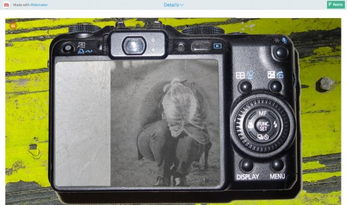 What story do images on a found camera tell?