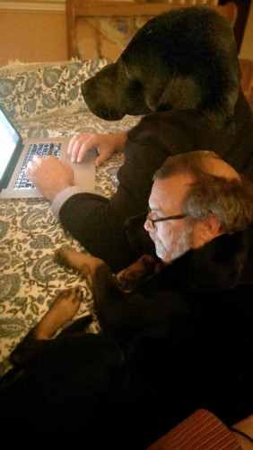 A dog can really blog with a faithful sidekick