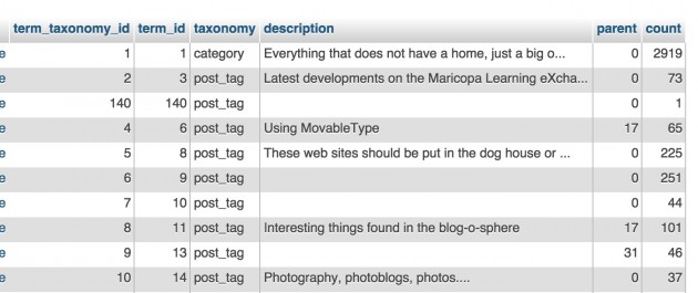 wp_term_taxonomy table for this blog