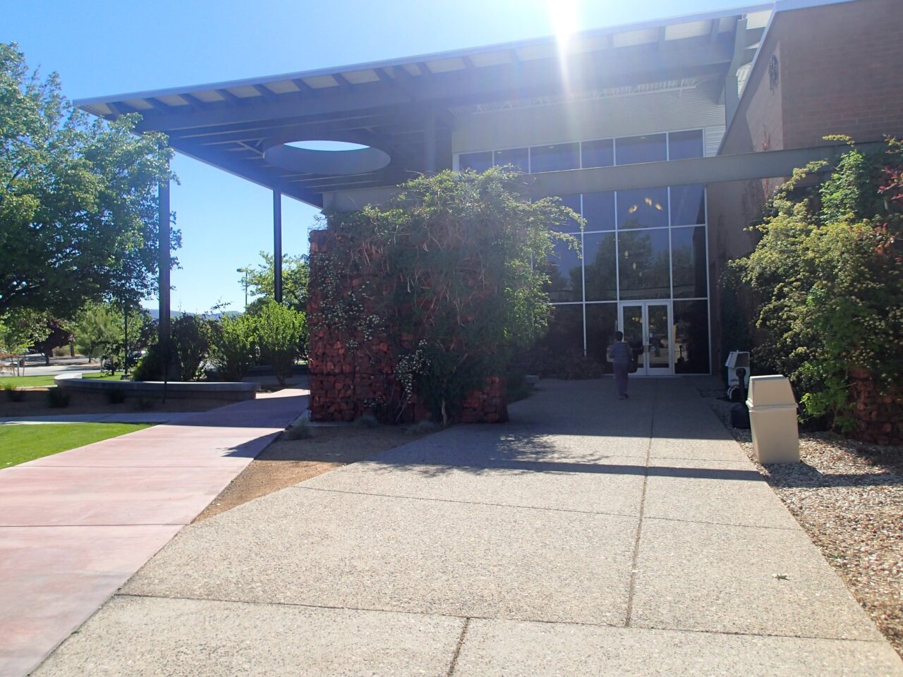 Sunny entrance to a modern campus library.