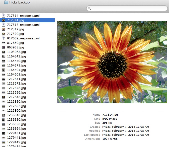 Flickr Files Ten Years of Flickr Photos Weighs in at 75 Gb – CogDogBlog