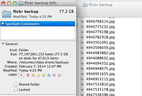 flickr backup dir