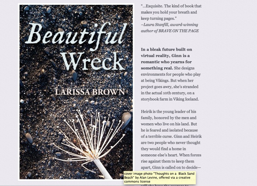 Beautiful Wreck by Larissa Brown