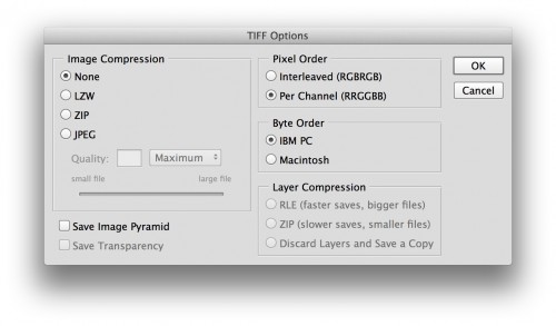 tiff options export