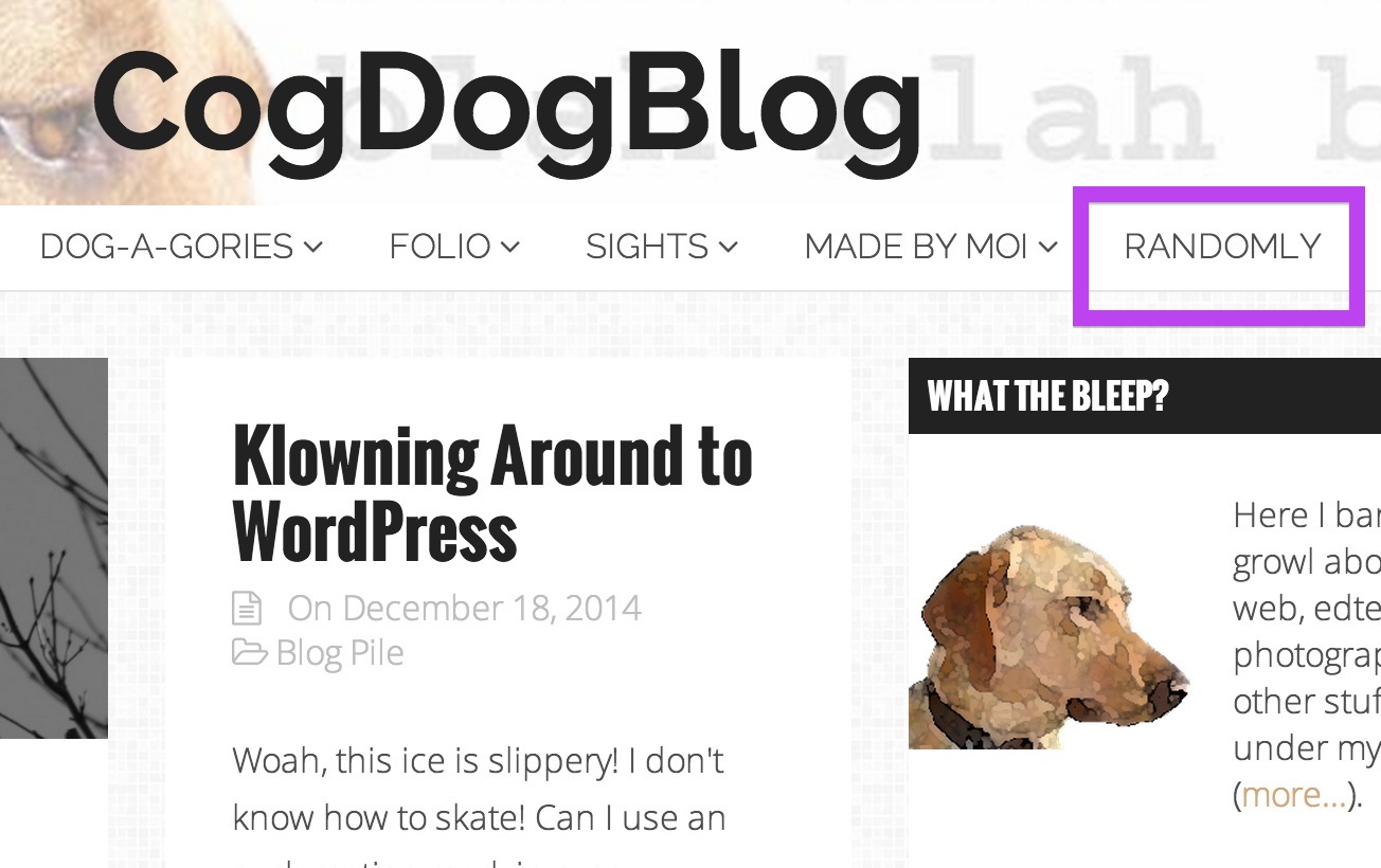 Randomly() Yours – CogDogBlog