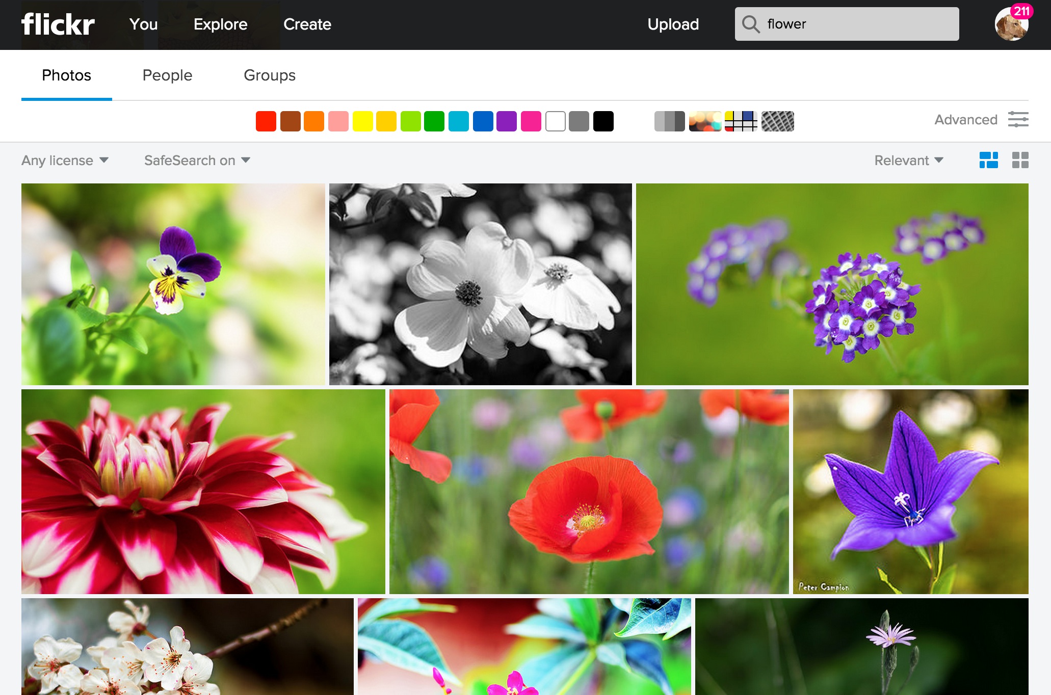 Monkeying Around With Hidden Flickr Search Parameters – CogDogBlog