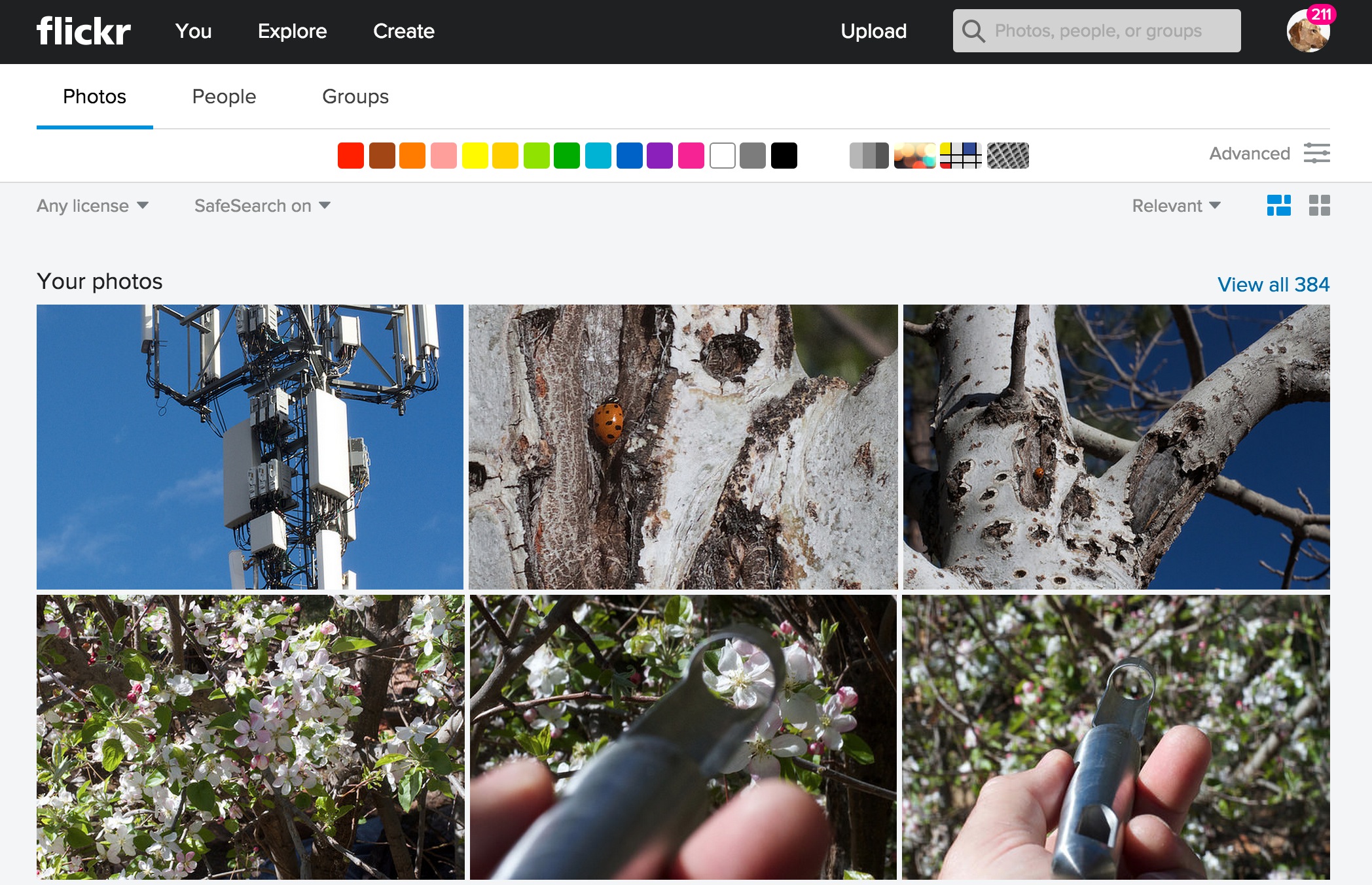 Monkeying Around With Hidden Flickr Search Parameters – CogDogBlog