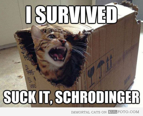 schrodinger-cat