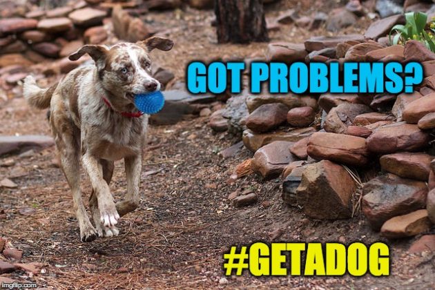 getadog