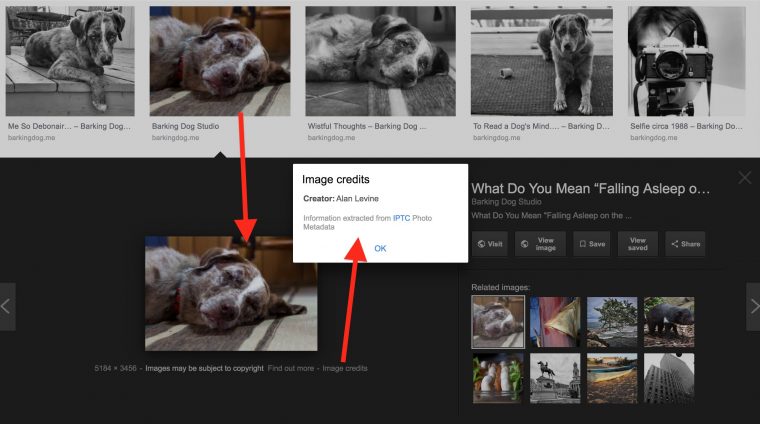 Google image search results show several form Barkingdog.me with arrows showing one result it's image credits link and credit given to Alan Levine