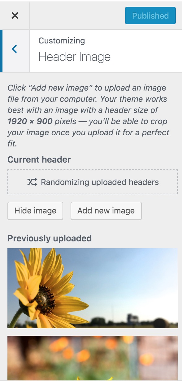 Header of "Customizing Header Image" with instructions for uploading and image, and buttons for "Hde Image" "Add new image"