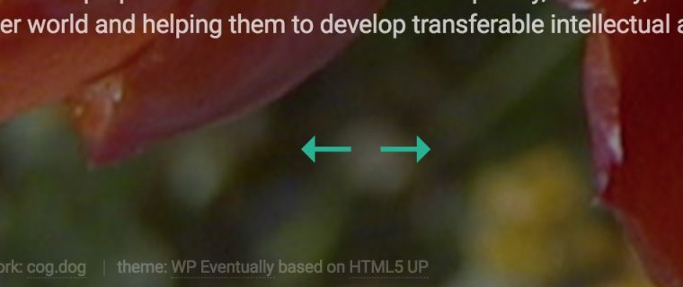 Two arrows that provide links to next and previous content