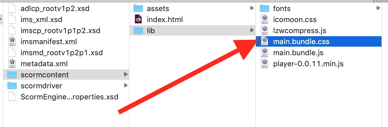 A directory dive inside th SCORM package to locate the main.bundle.css file