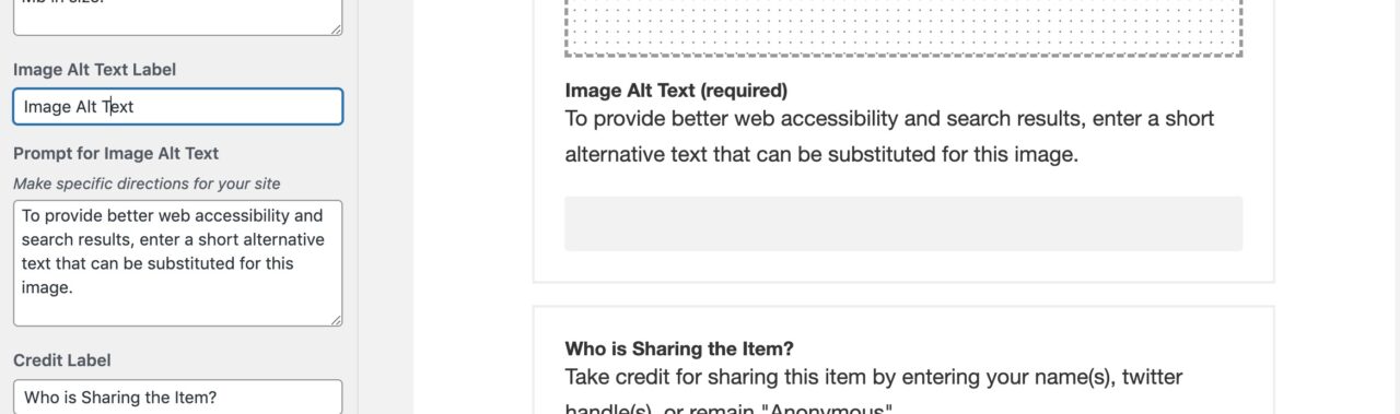 Form fields for Image Alt Text Label and Prompt in the left showing how they are displayed on the collection form.