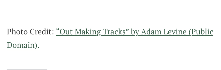 Photo Credit: "Out Making Tracks" by Adam Levine (Public Domain)