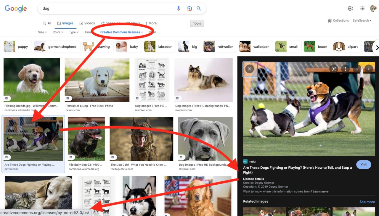 Creative Commons filtered image search results for the term "dog" with arrows pointing to a preview of two dogs fighting or playing, hen to the info box suggesting it is copyrighted with credit to Dagmy Gromer, and license details indicating a link to a CC BY NC ND license