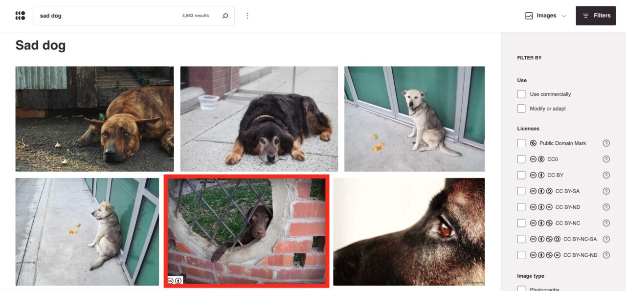 Search results at Openverse on "sad dog" with lots of results. The one of a dog looking through a hole in the fence has a CC BY license icon. 