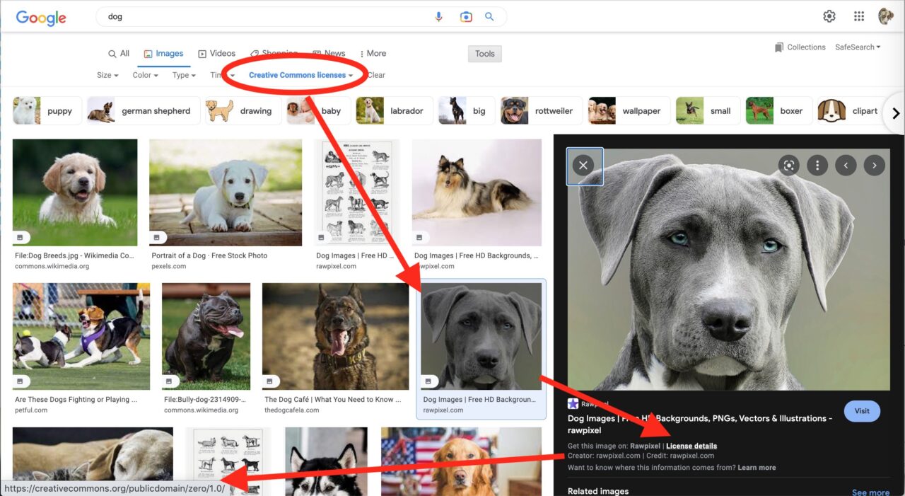 Creative Commons filtered image search results for the term "dog" with arrows pointing to a preview of a solemn grey dog, then the link to License Details which indicate a CC0 license