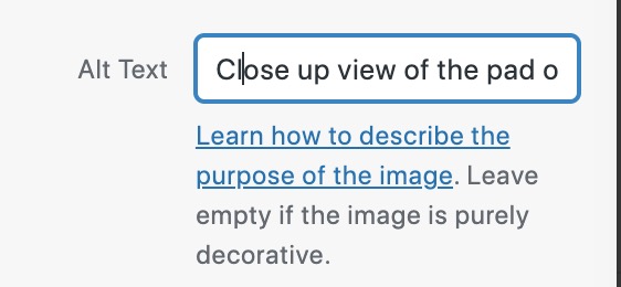 Sowing the Alt Text description field I used for the uploaded featured image of the post, it is single line, giving me hardly any space to write something