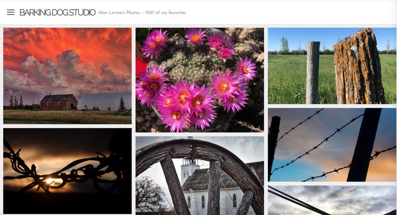 Barking Dog Studios web site with a grid of my favorite photos, colorfiull clouds over a barn, pink flowers on a factus, sunlight through barbed wire fence, and more