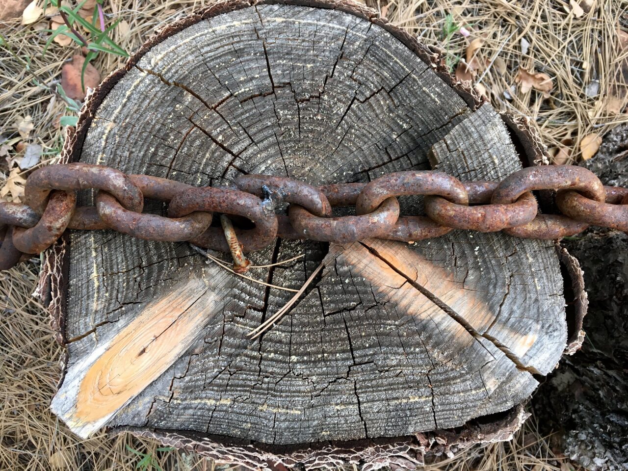 Thick chain of rusted links stretched across a weathered tree stump.