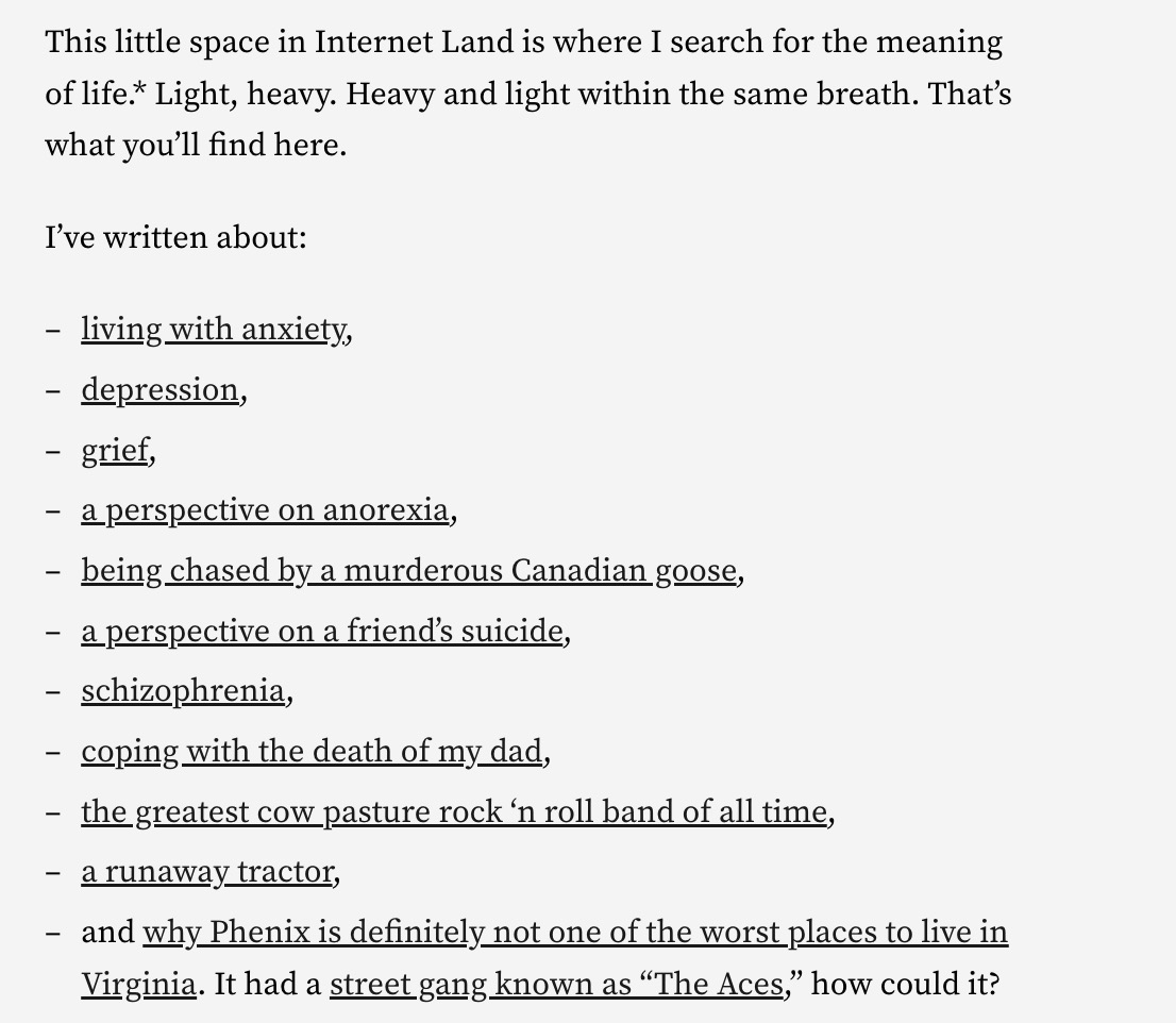 This little space in Internet Land is where I search for the meaning of life.* Light, heavy. Heavy and light within the same breath. That’s what you’ll find here.

I’ve written about:

living with anxiety,
depression,
grief,
a perspective on anorexia,
being chased by a murderous Canadian goose,
a perspective on a friend’s suicide,
schizophrenia,
coping with the death of my dad,
the greatest cow pasture rock ‘n roll band of all time,
a runaway tractor,
and why Phenix is definitely not one of the worst places to live in Virginia. It had a street gang known as “The Aces,” how could it?