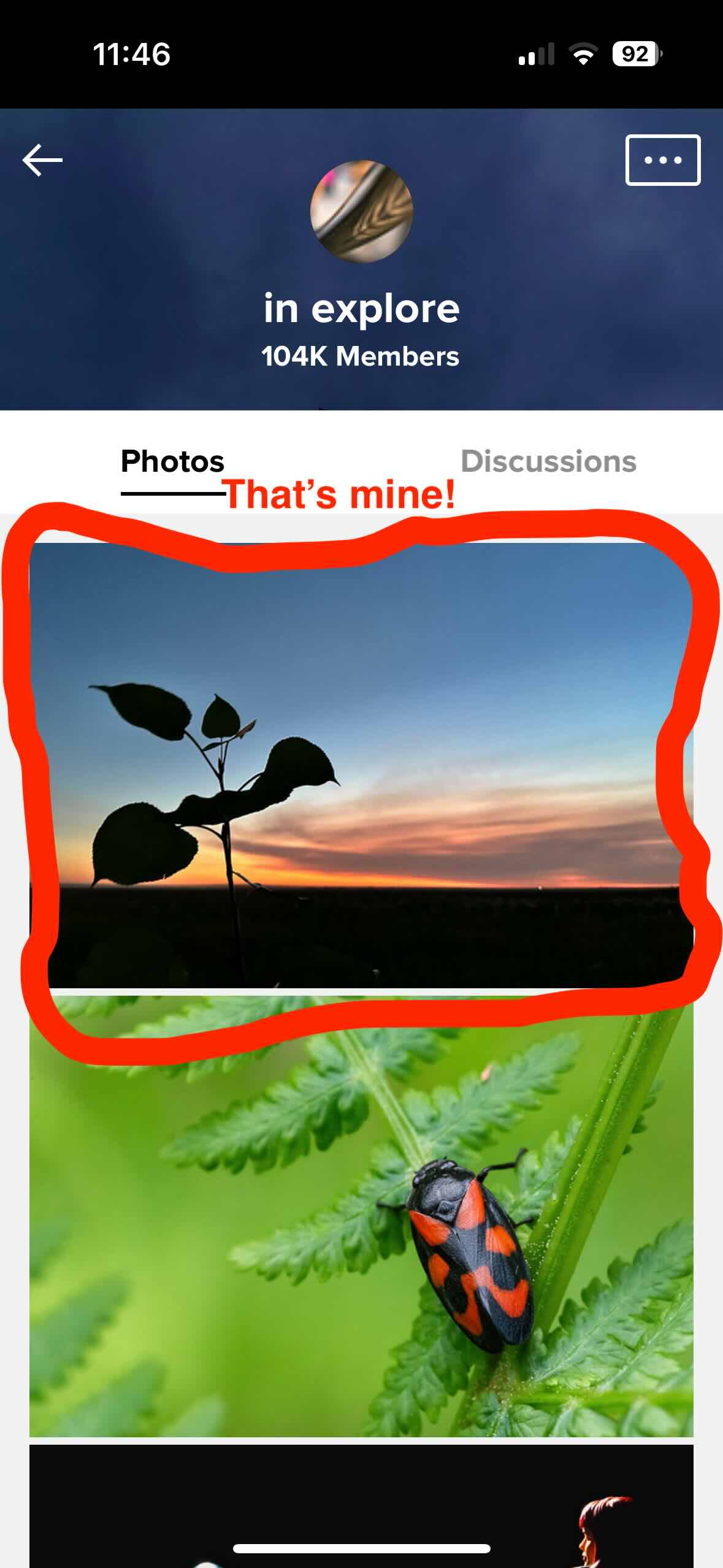 The flickr "in explore" group seen on a mobile device screen. The bottom photo is a lovely detail of a multi colored bug on a fern leaf, the top one is of a sunset with the top of a small tree in silhouette, The top photo is circled with text reading "That's mine"