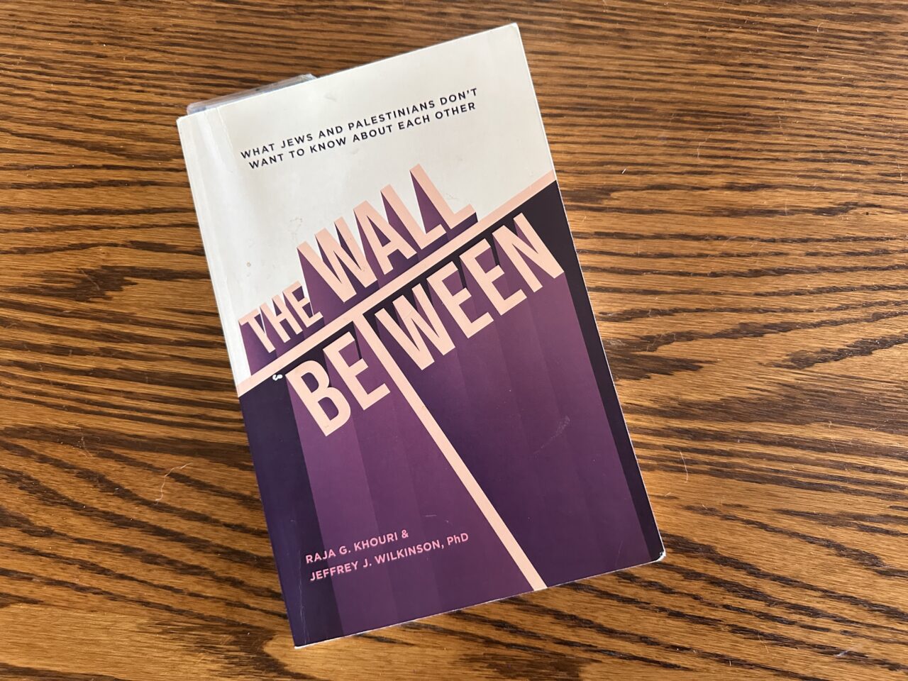 Book cover with art of tilted text The Wall above Between, where the T acts like a ledge and a line separating two sides.