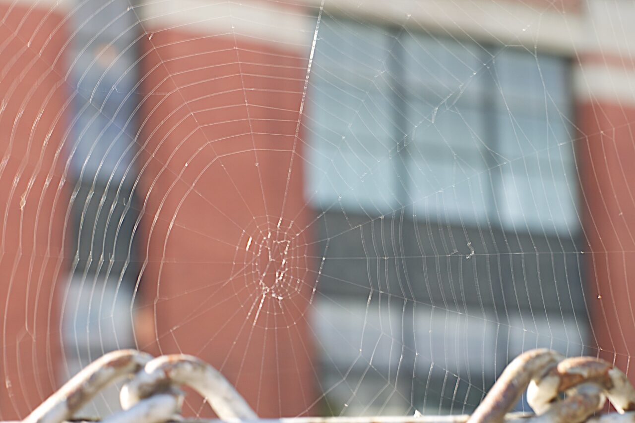 Through a spider web of radiating interconnected threads is a brock and glass building. Very subtly, at the bottom of the web, are some metal chain links.