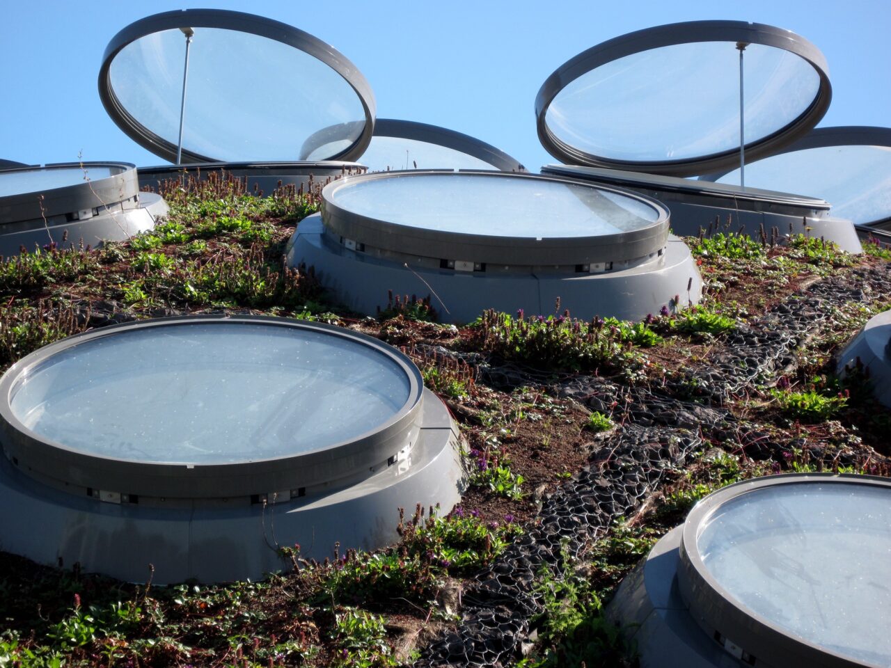 A series of circular glass hatches, a few open, atop of grass covered curving surface, actually a roof.