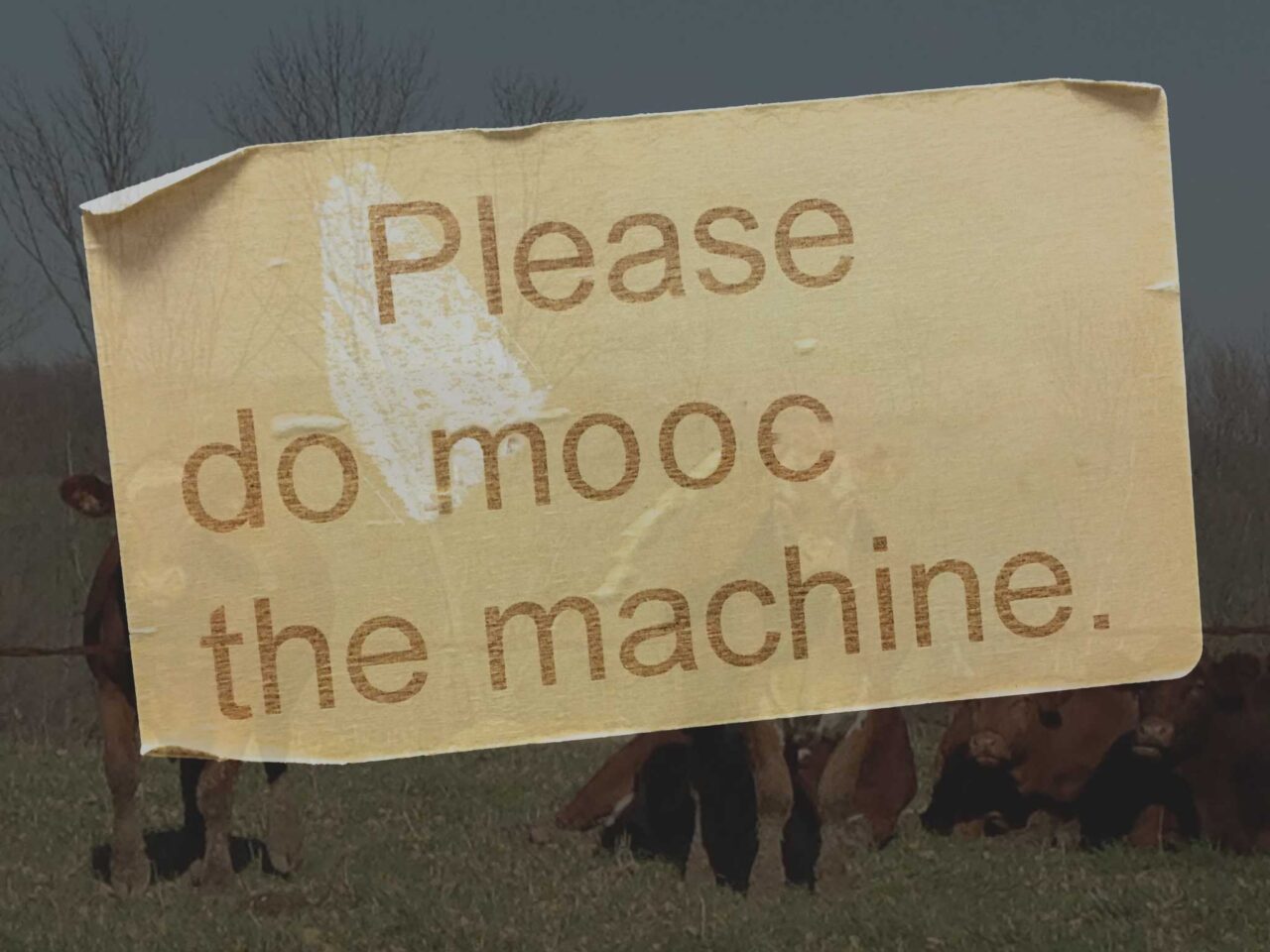 A peeling paper label reads in large next Please do mooc the machine, superimposed a faded view of cows staring out at you.