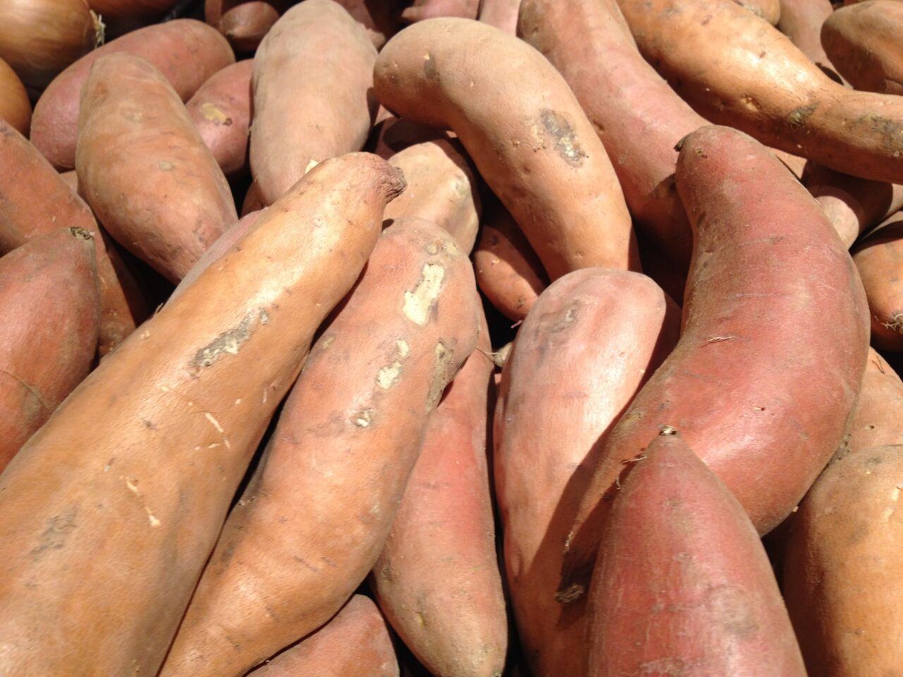 A pile of long sweet potatoes, completely filling the screen
