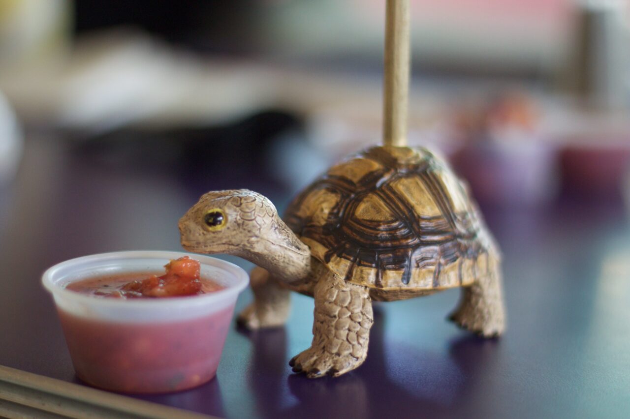 Small toy figure of a turtle stands on a shiny table top as if ready tp drink from a plastix bowl of salsa.