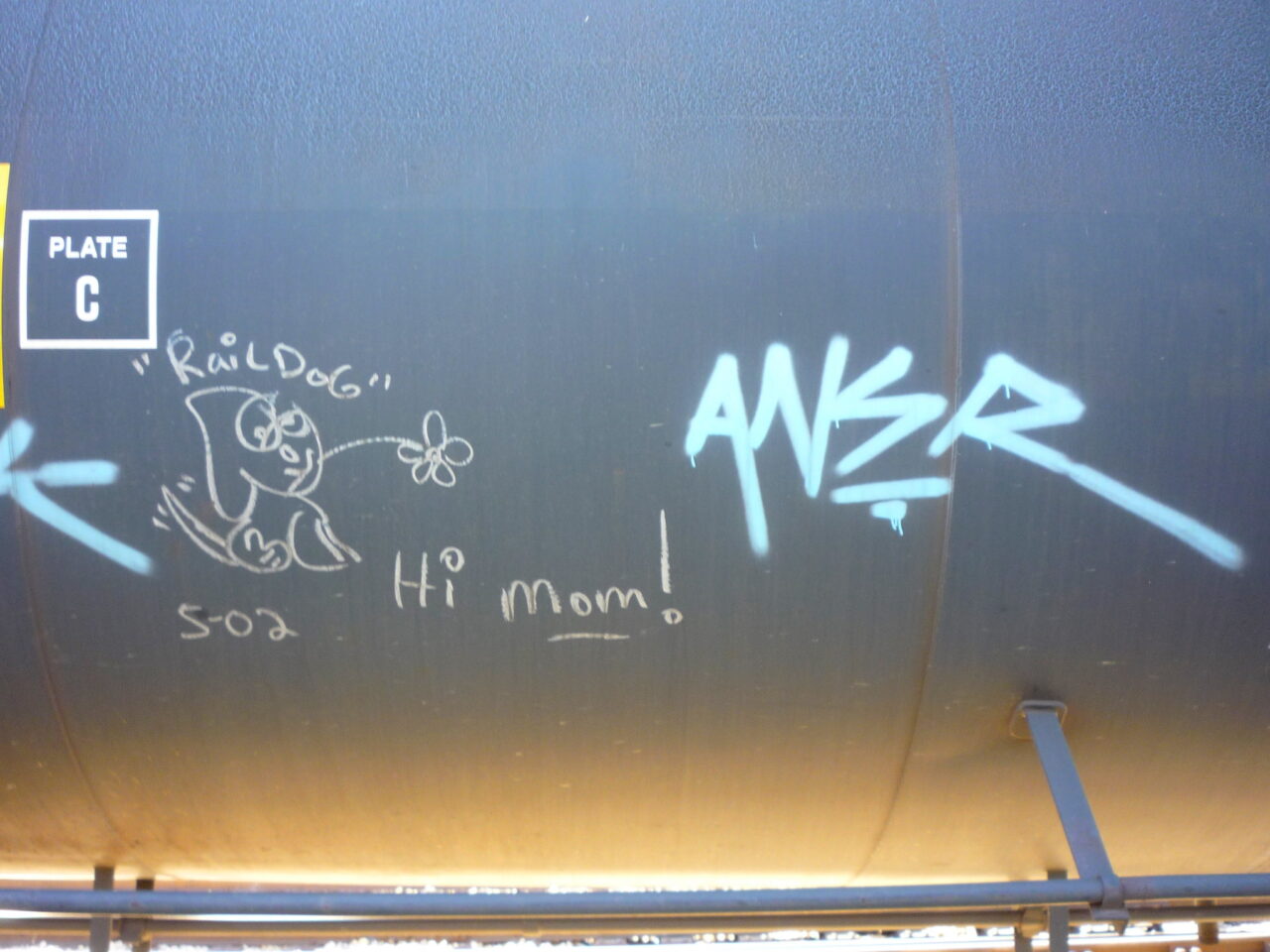 Grafitti art on a railrod car of a dog holidjng a flower in its mouth, the name Rail dog, and message Hi Mom. To the right in a different more crude patterns are letters ANSR.