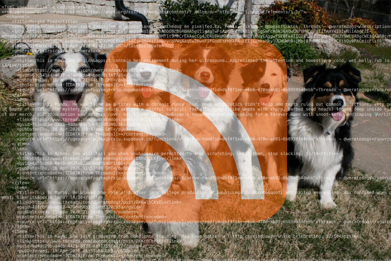 A pack pf sitting black and white dogs with an overlay of the code for an RSS fed and a large orange RSS icon.
