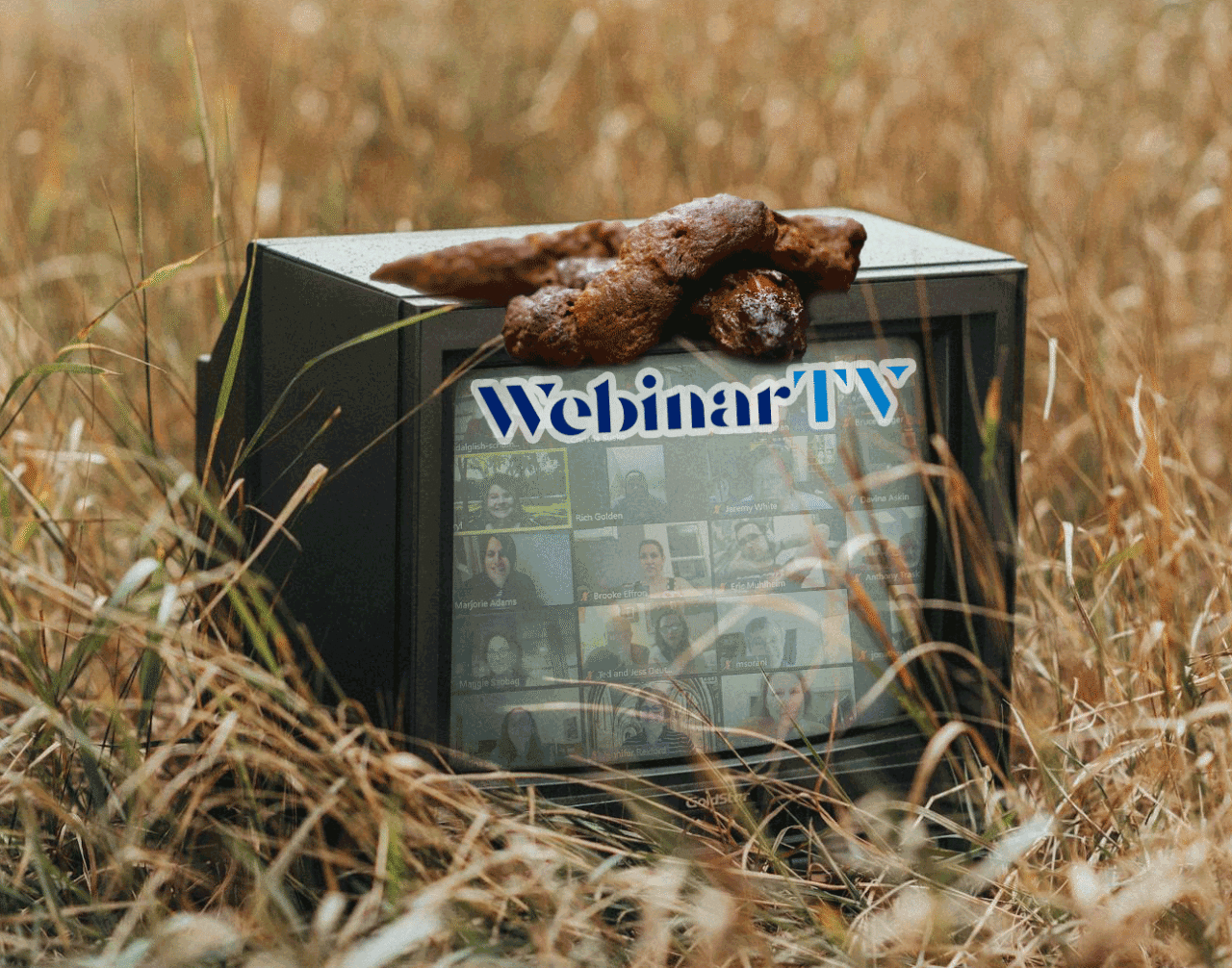 An old TV with faint image of a zoom session sits in a field. In the upper part of the TV screen of is the WebinarTV logo. Sitting on top of the TV is a huge pile of dog poop.