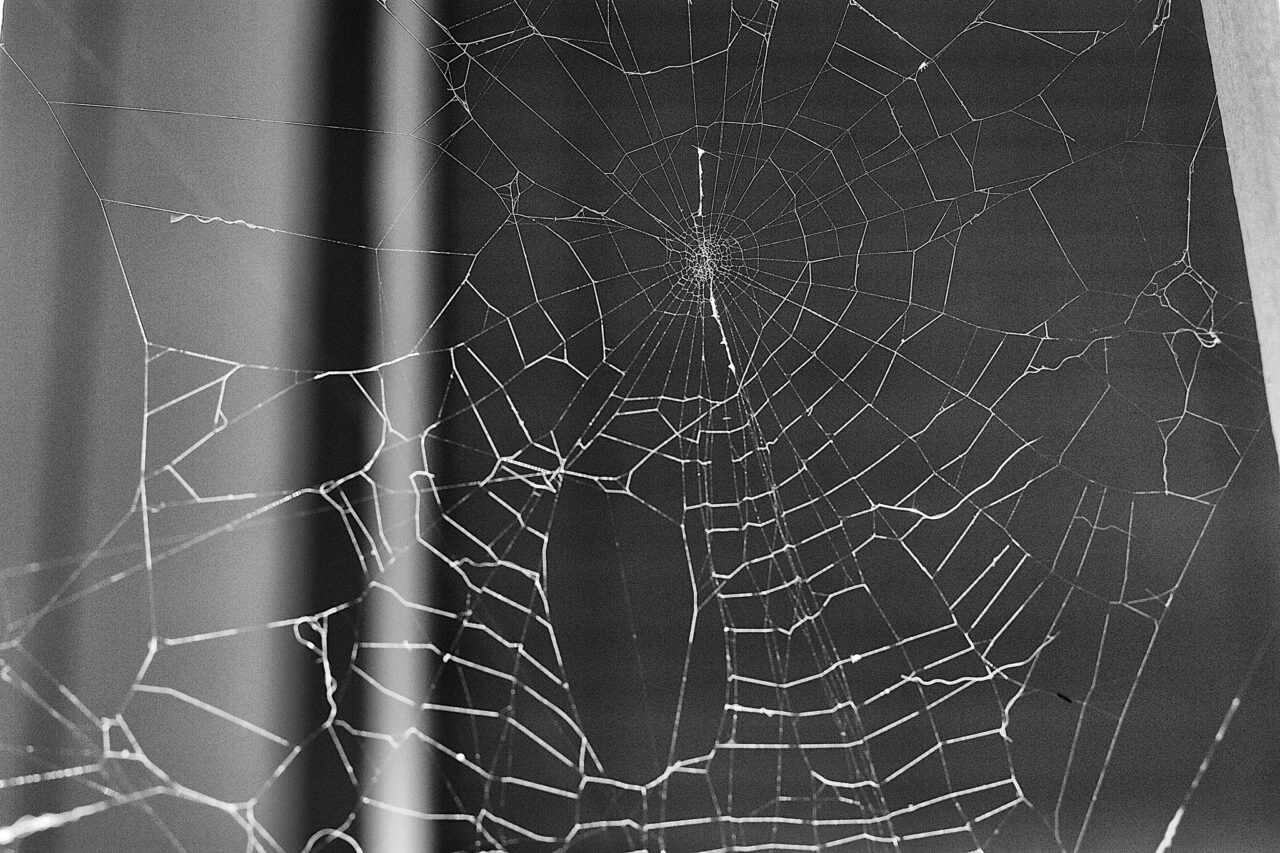 Circular spider web suspended between posts.