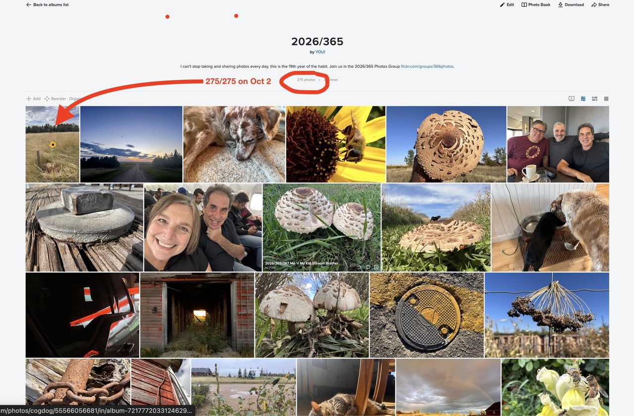 2026/365 flickr photo album indicating being 275/275 on October 2, meaning I was 273/273 on September 30, a grid of daily photos for that month.